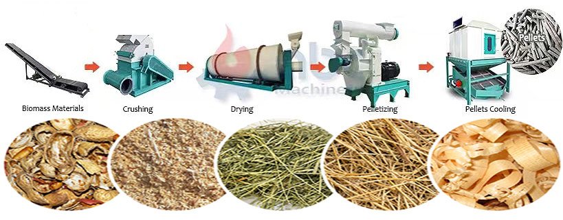 Agri 20 Pellet Machine Price? Affordable & Efficient Feed Solutions for South Africa 10 Economic Value of Pellet Mill and Hammer Mill in Feed Production 13