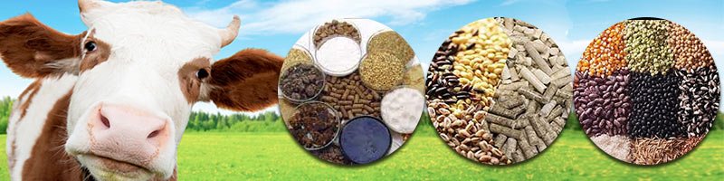 MAIKONG animal feed pellet machine production facility in South Africa