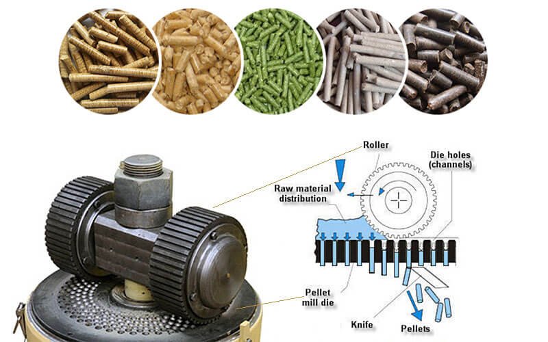 Duck and Goose Feed Pelletizer Machines: Complete Guide for South African Farmers 3 Modern feed pelletizer machine processing duck and goose feed in industrial setting