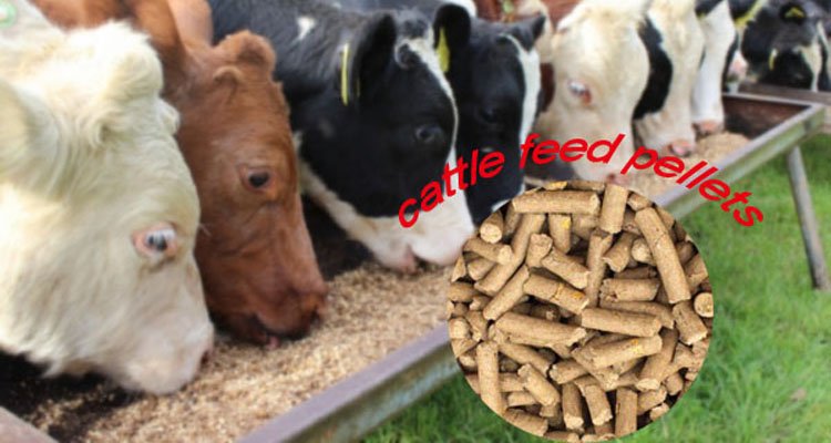 Animal Feed Pellet Machine