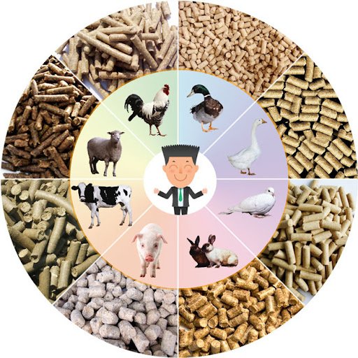 Dog Feed Pellet Machine for South African