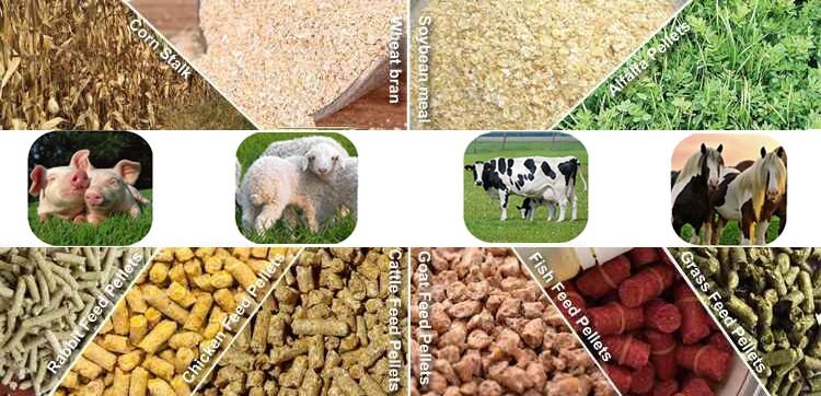 Goat Feed Pellet Machine
