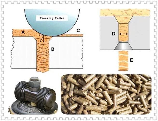 Detailed view of feed pellet machine components and specifications