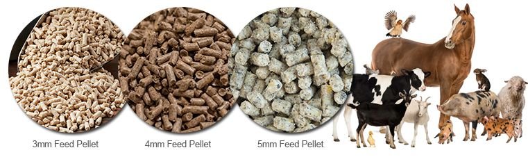 Animal Feed Pellet Machine