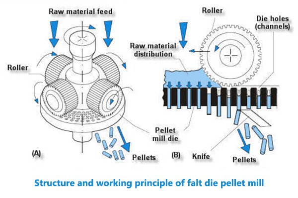 Sheep Feed Pelletizer 6 Animal Feed Pellet Machine