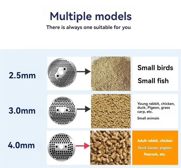 Fish Feed Pellet Machine 13 MAIKONG MK-BEM80 fish feed pellet machine producing floating pellets