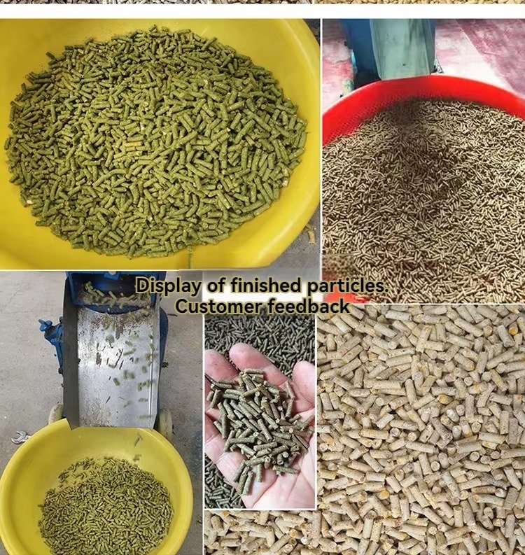 MAIKONG MK-BEM80 fish feed pellet machine producing floating pellets