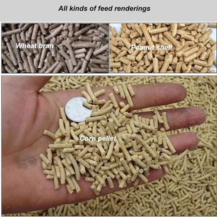 MAIKONG Animal Feed Pellet Machine