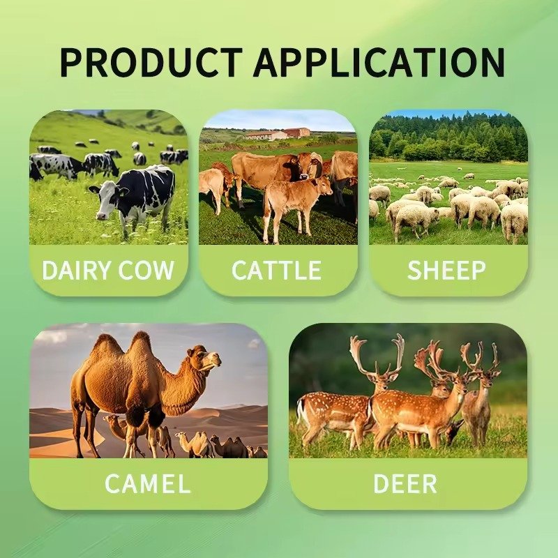 Modern feed pellet machine producing calf starter pellets in South African farming facility
