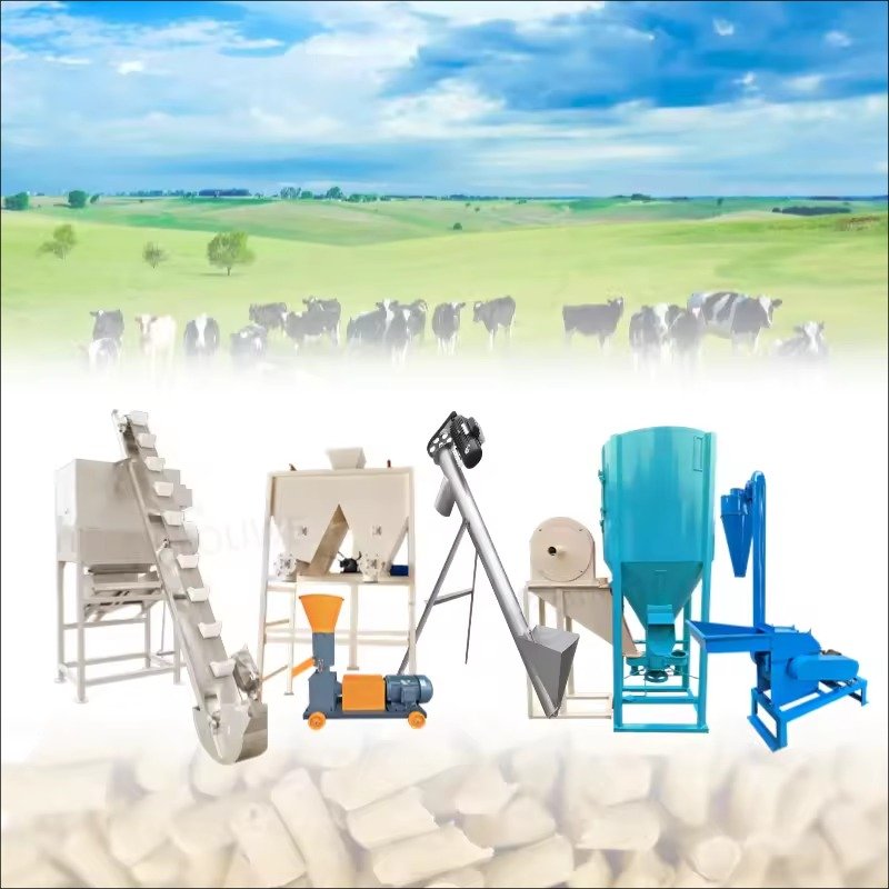 Small Scale vs. Commercial Animal Feed Pellet Machine: A Buyer's Comparison 13 MAIKONG animal feed pellet machine production facility in South Africa