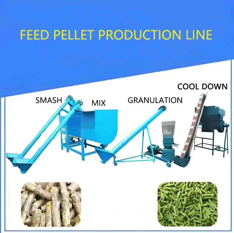 Camel Feed Pellet Machine for Arid Areas: Complete Guide for South African Livestock Operations 9 Fertilizer pellet machine producing organic fertilizer