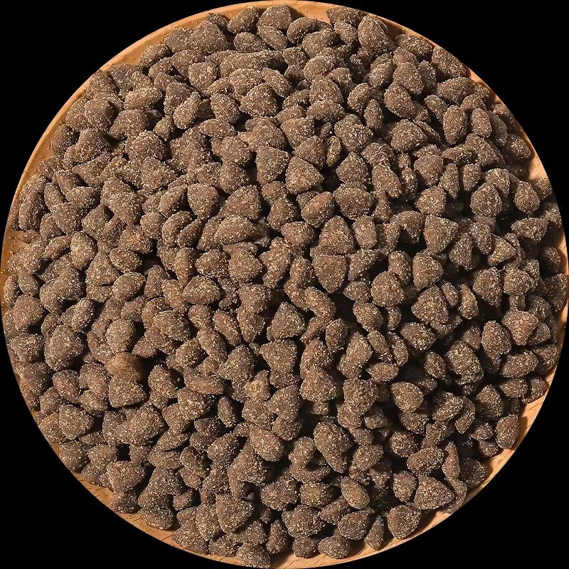 Modern pig feed pelletizer machine processing feed into uniform pellets on South African farm
