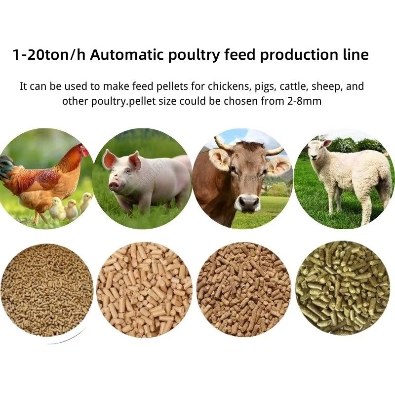 Animal Feed Pellet Machine