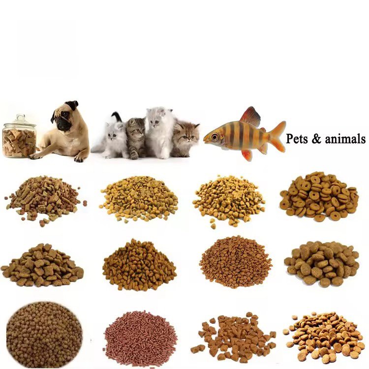 Industrial-Grade Dog Feed Pellet Machine for South African Manufacturers 8 Dog Feed Pellet Machine for South African