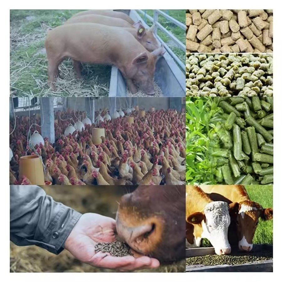 Premium Dog Food Pellet Machine South Africa: MAIKONG Industrial Solutions 13 nimal Feed Production Line 100T (329)