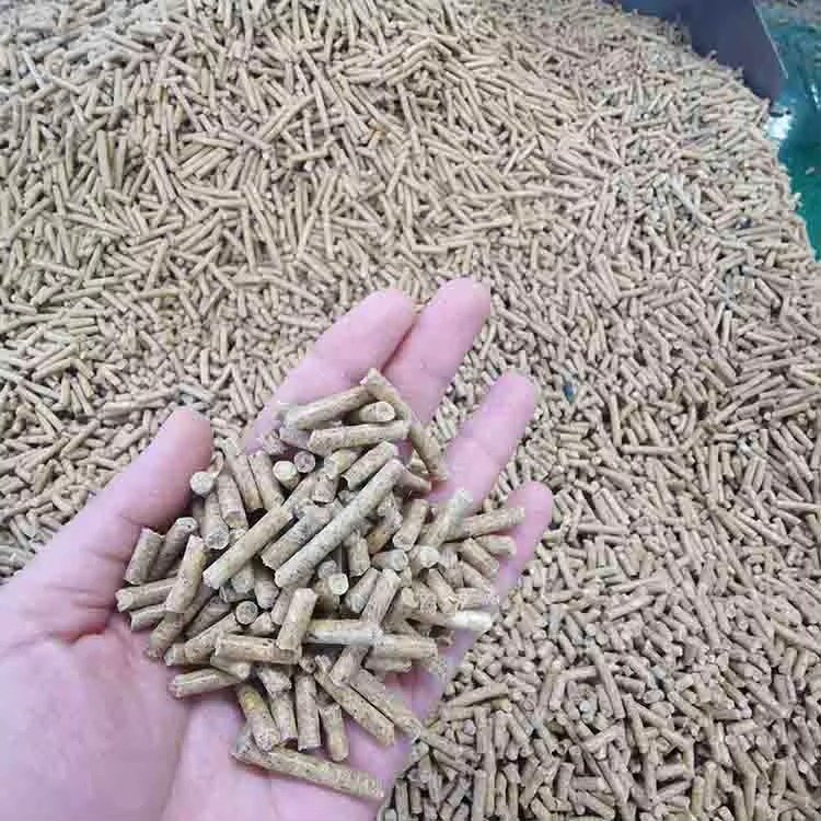 Pig Feed Pelletizer: Reducing Waste & Improving Growth 4 Modern pig feed pelletizer machine processing feed into uniform pellets on South African farm