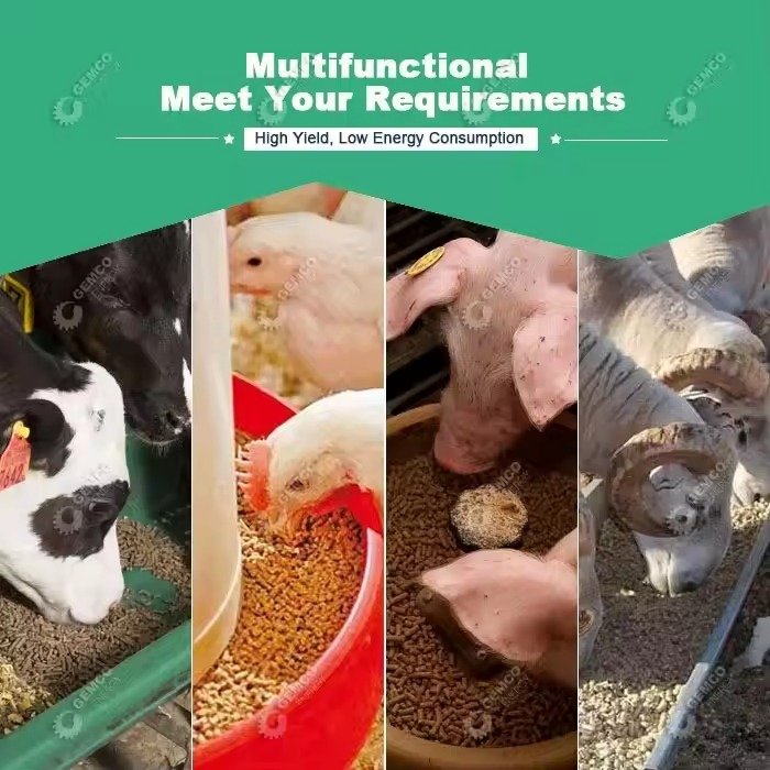 Chicken Feed Pellet Machine