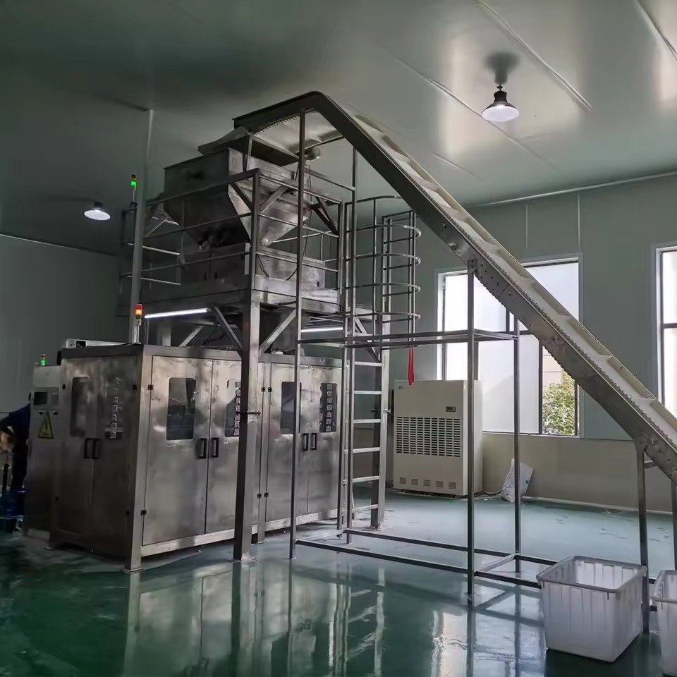 Modern chicken feed pelletizer machine processing raw ingredients into uniform pellets in South African poultry farm setting