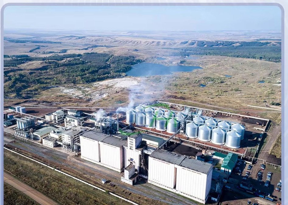 MAIKONG feed pellet machine processing maize corn in South African farm setting