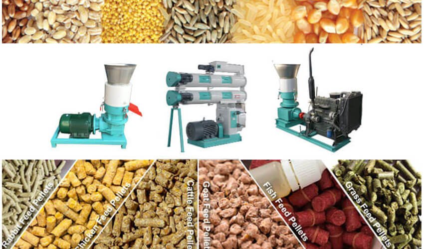 MAIKONG animal feed pellet machine production facility in South Africa
