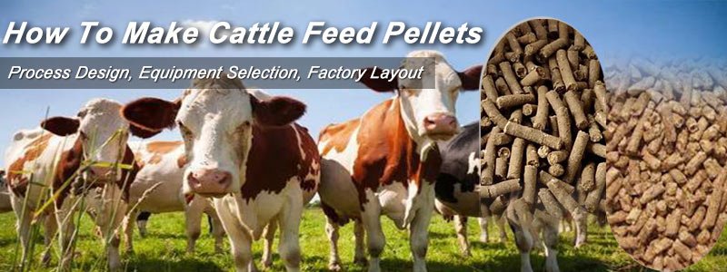 Animal Feed Pellet Machine