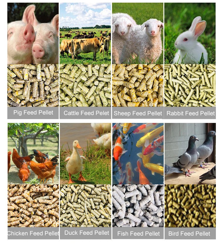 Broiler Pellet Machine 4 Ton